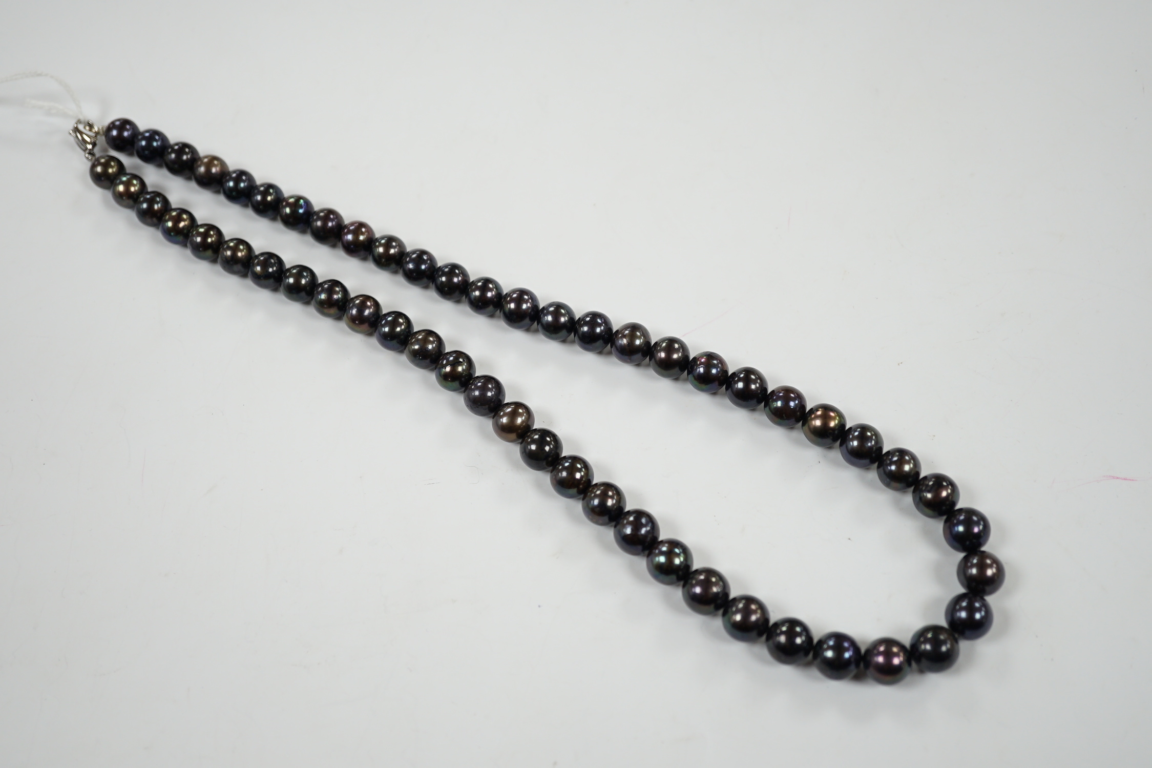 A modern single strand cultured Tahitian pearl necklace, with white metal clasp, 52cm.